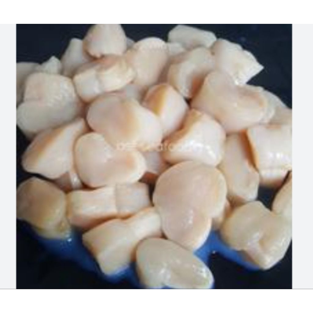 SEAFOOD KERANG SIMPING