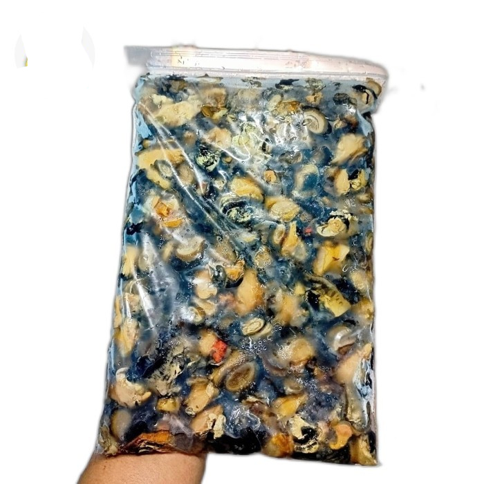 keong sawah 1Kg daging keong sawah Sate Rica-rica keong sawah Kiloan