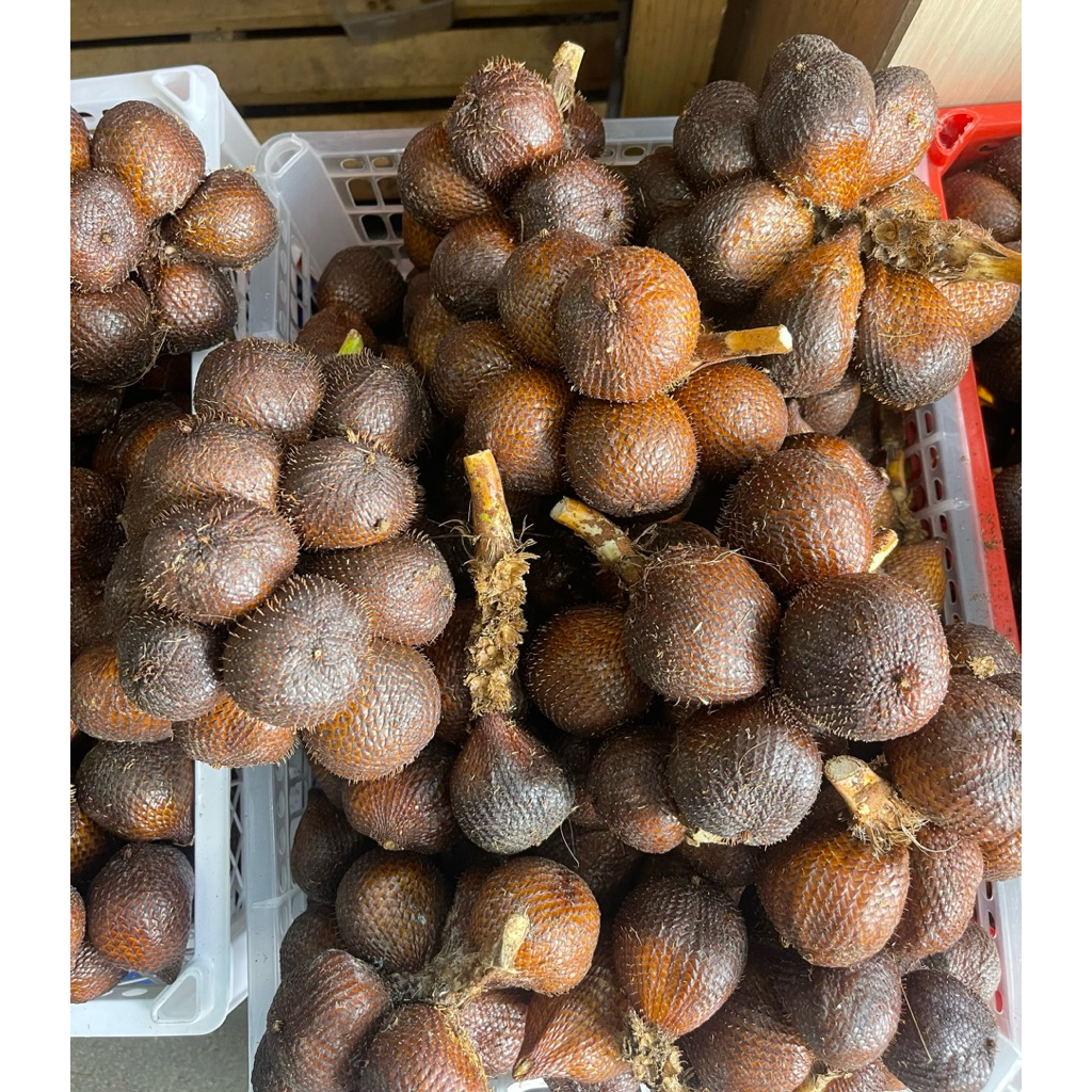 Salak Gula Pasir Super Bali - Salak Gula Bali 500gram