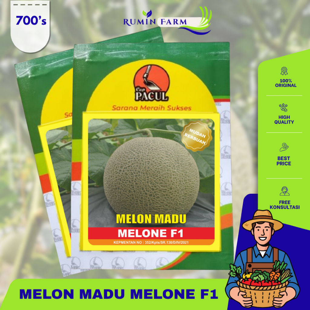 Benih Melon Melone 700bj