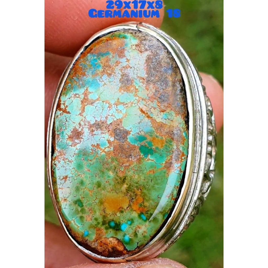 pirus persia natural lawasan