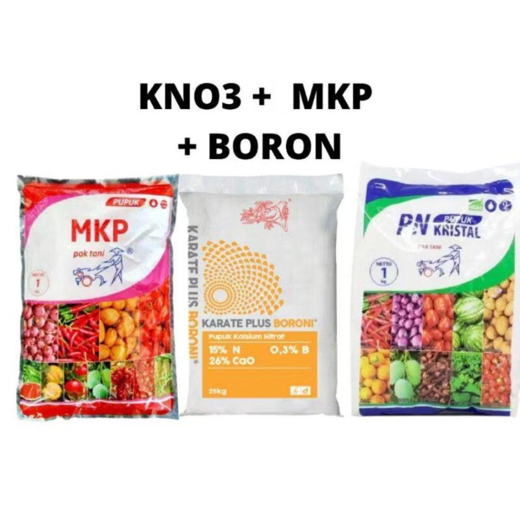 KNO3 PUTIH + MKP PAK TANI + BORON PAKET PUPUK BUAH SAYUR