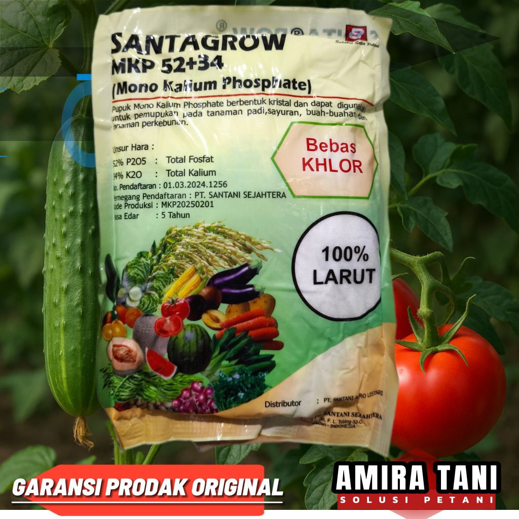 Santagrow mkp 1 kg kemasan pabrik