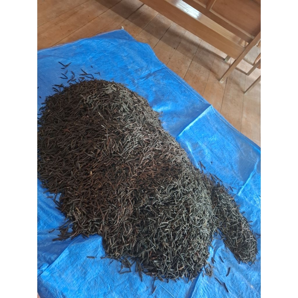 Cabe jamu paket 50kg cabe jawa paket hemat bisa COD