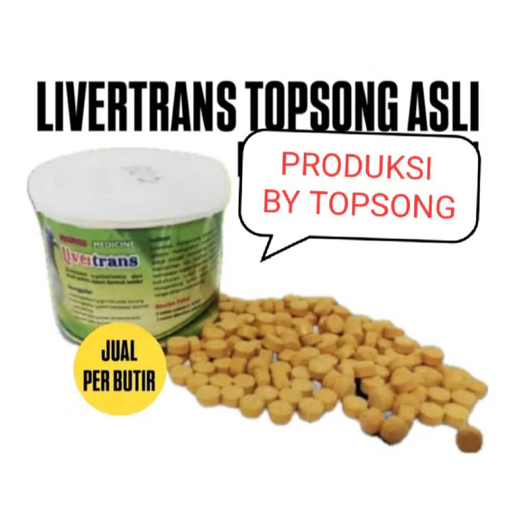LIVERTRANS TOPSONG LIVER TRANS TOP SONG PIL OBAT BURUNG MERPATI DARA