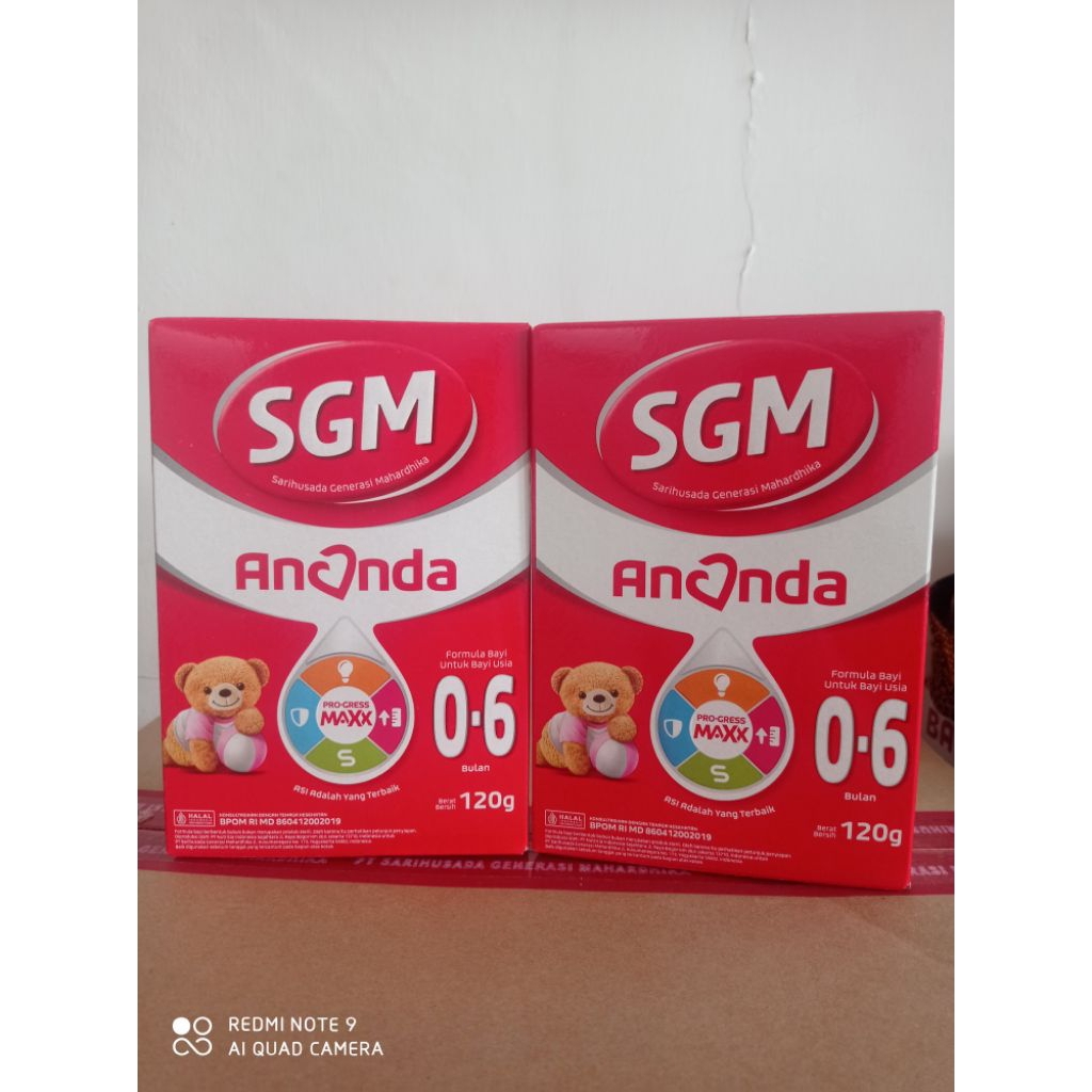 SGM Ananda 06 Bulan 120 gram