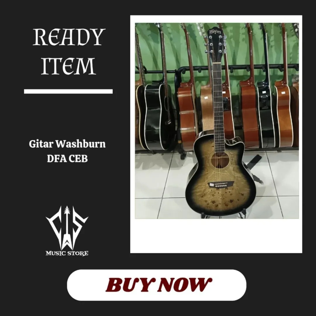 Gitar Akustik Elektrik Washburn DFBACEB Original