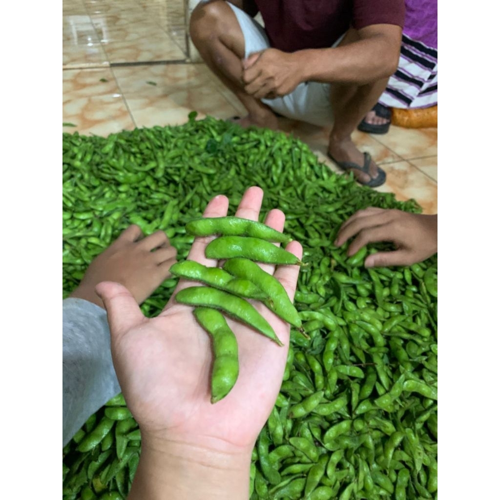 kacang edamame