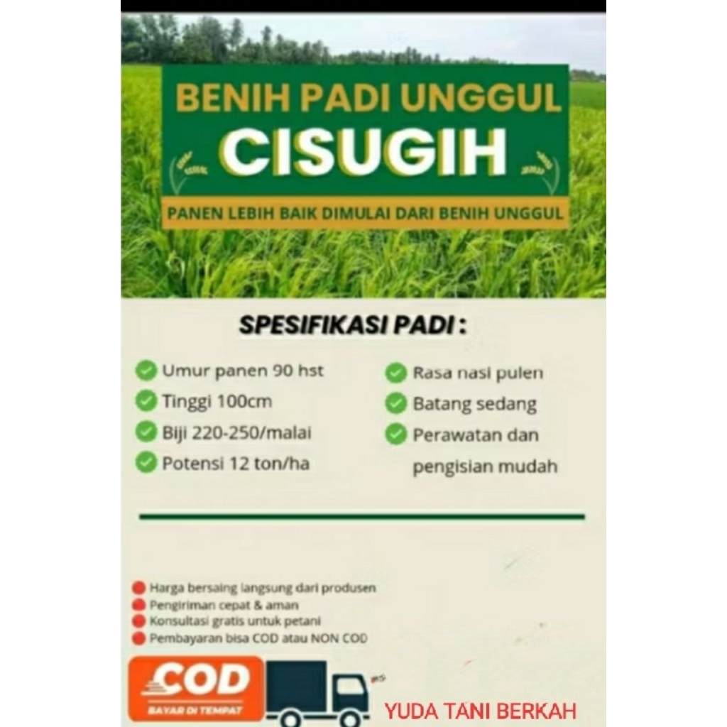 BENIH PADI UNGGUL CISUGIH 1kg