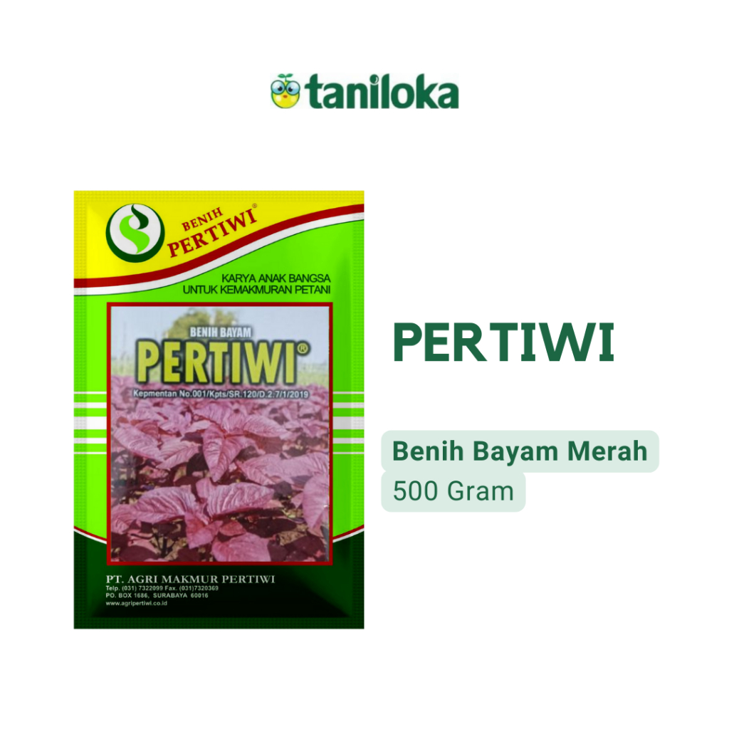 Benih Pertiwi - Benih Bayam Merah Pertiwi (500 Gram)