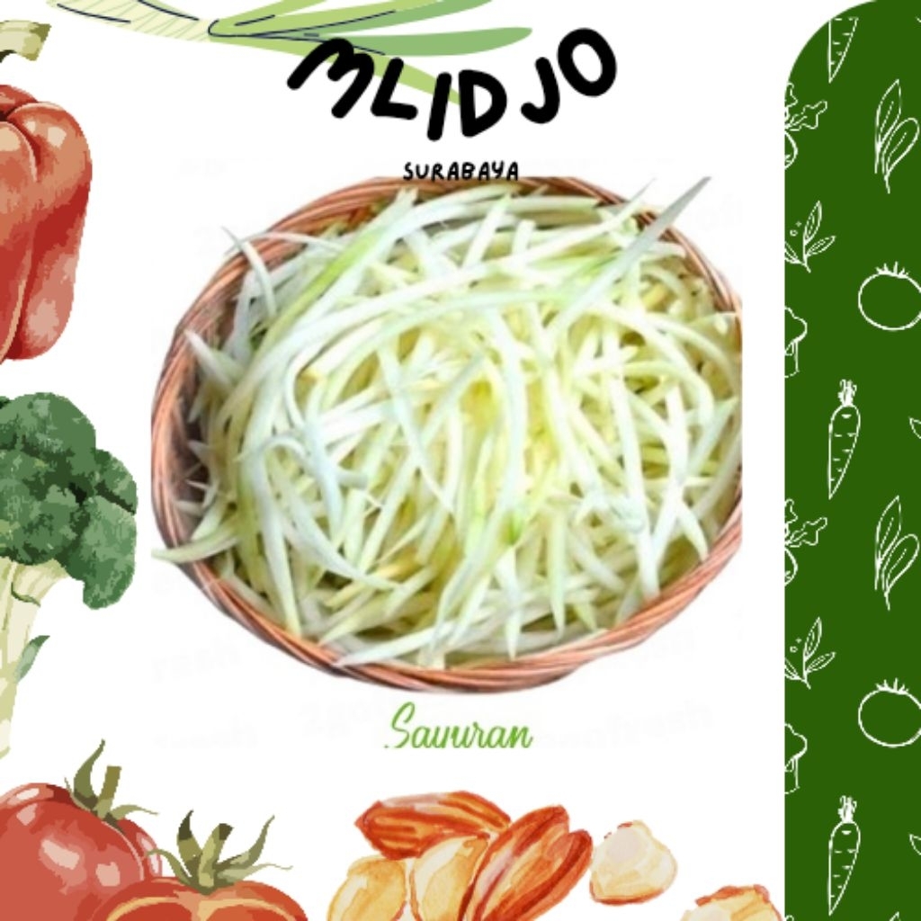 MANISA RAJANG LABU SIAM IRIS