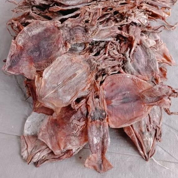 Ikan Cumi Juhi Sotong kering tawar Bekas SORTIR