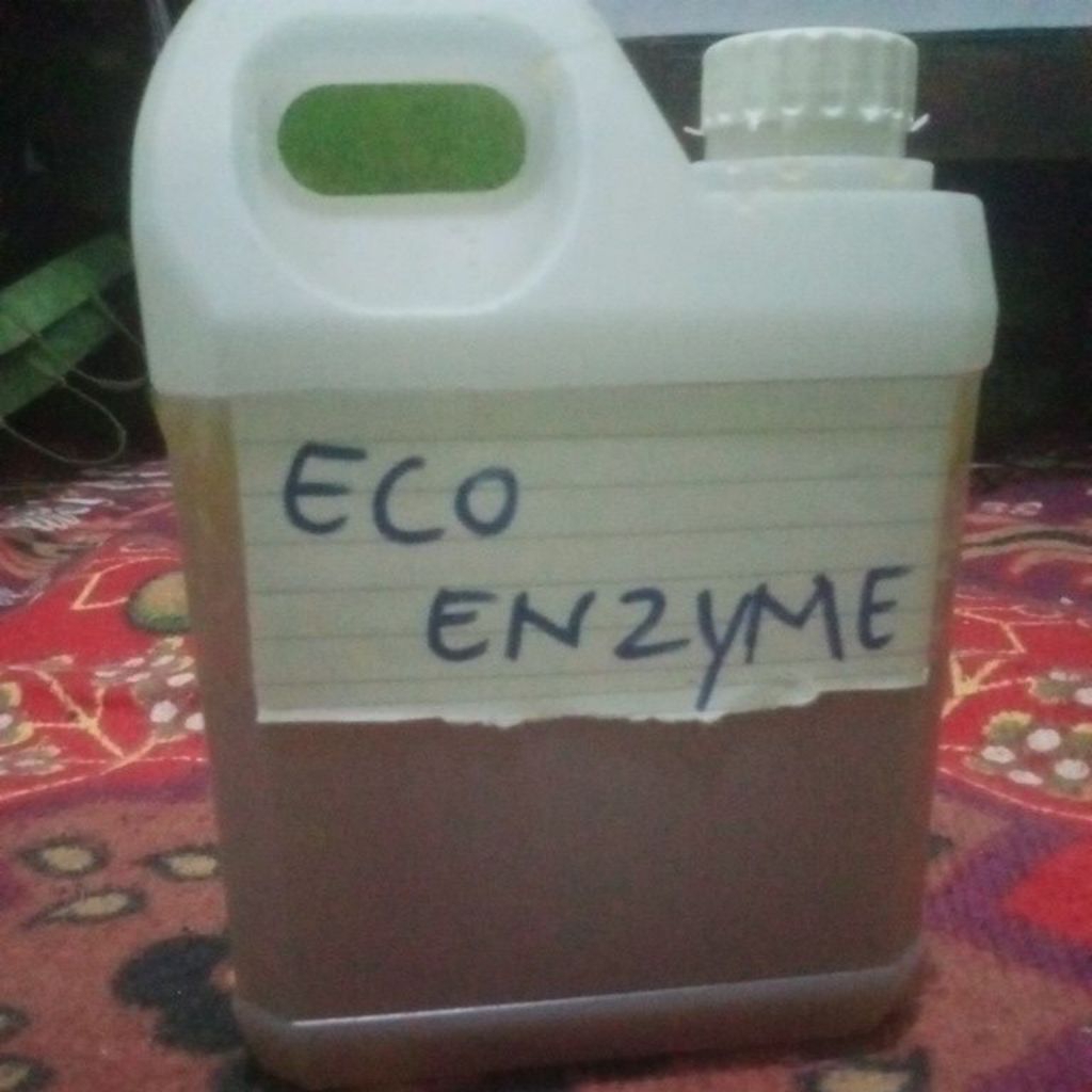 eco enzyme