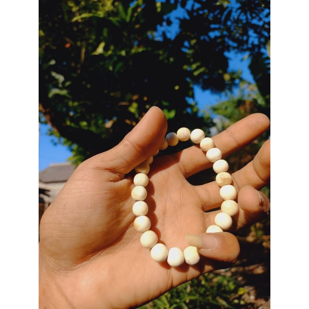 gelang igduy natural Asli