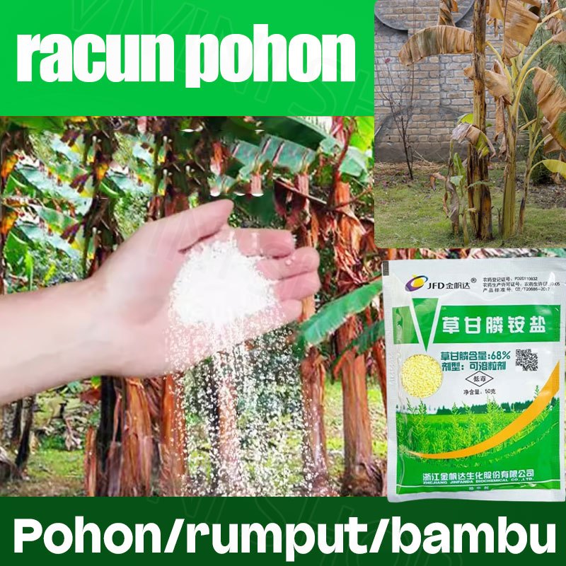 Racun Pohon Besar Paling Ampuh Racun Rumput Herbisida Tree Killer Rumput Pembasmi Rumput Liar Pembas