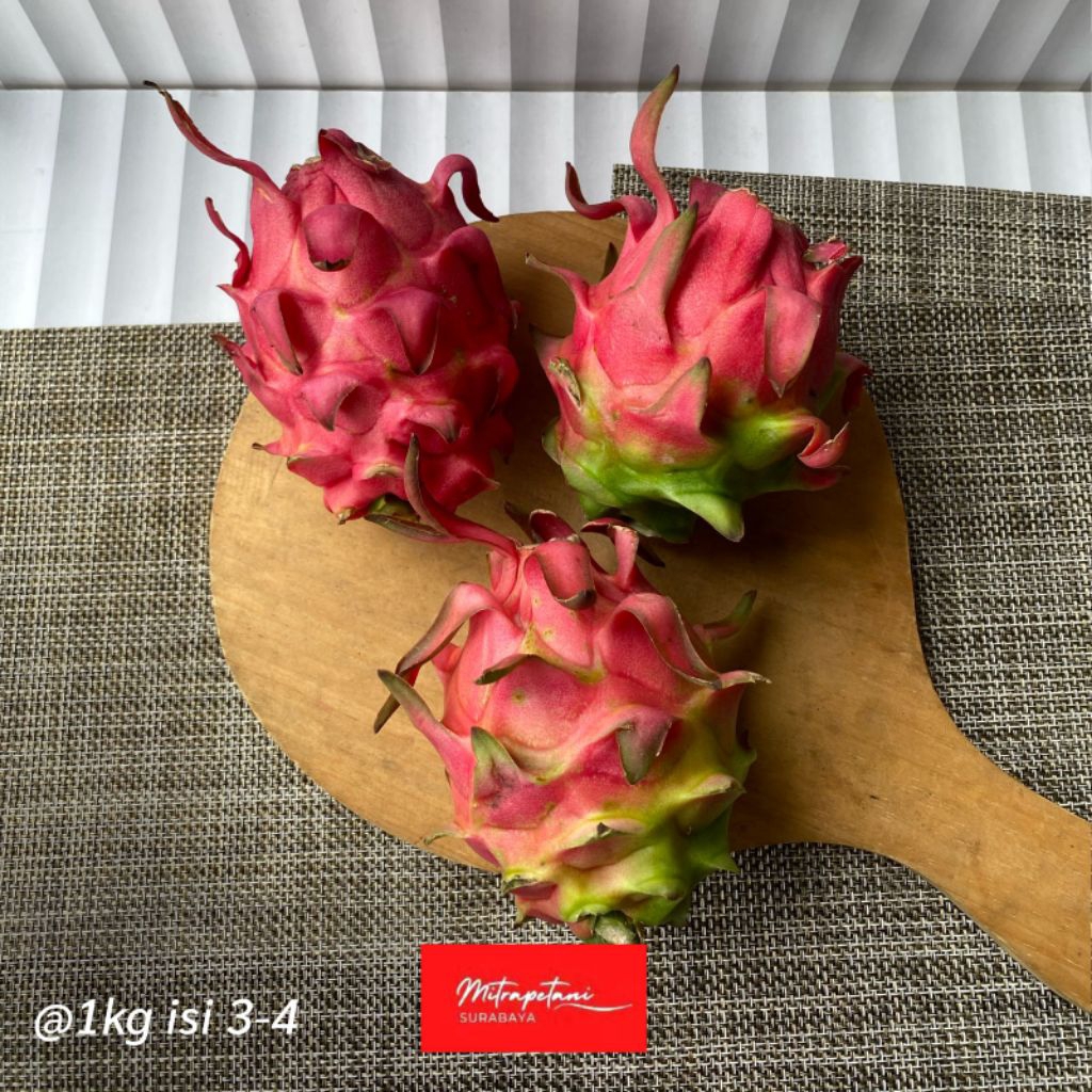 Buah naga small 1kg,buah naga merah,buah naga small segar