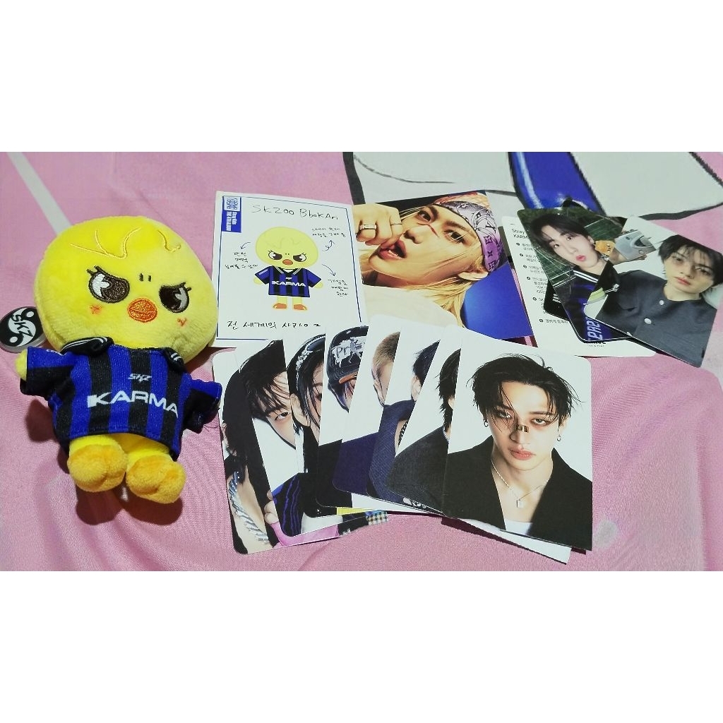 (UNSEALED) STRAY KIDS KARMA - SKZOO VER BBOKARI