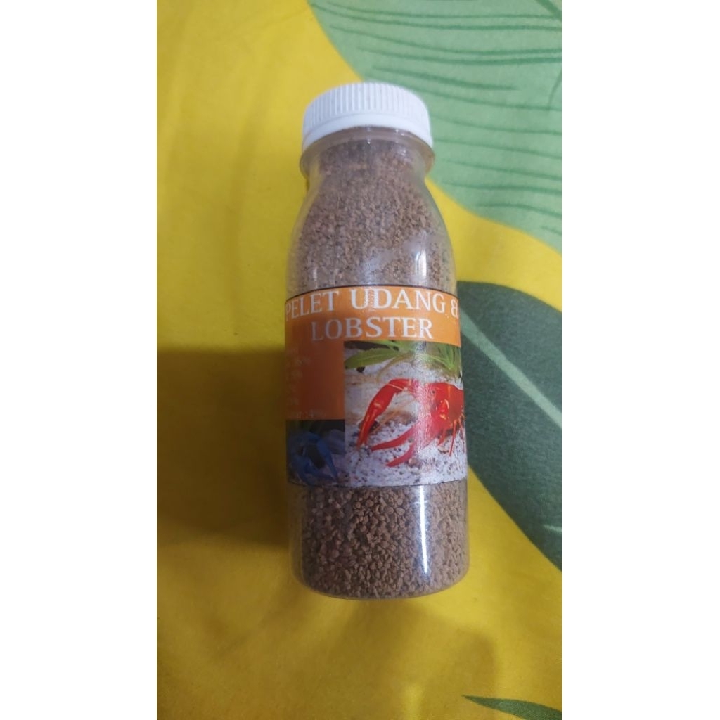 pakan lobster air tawar