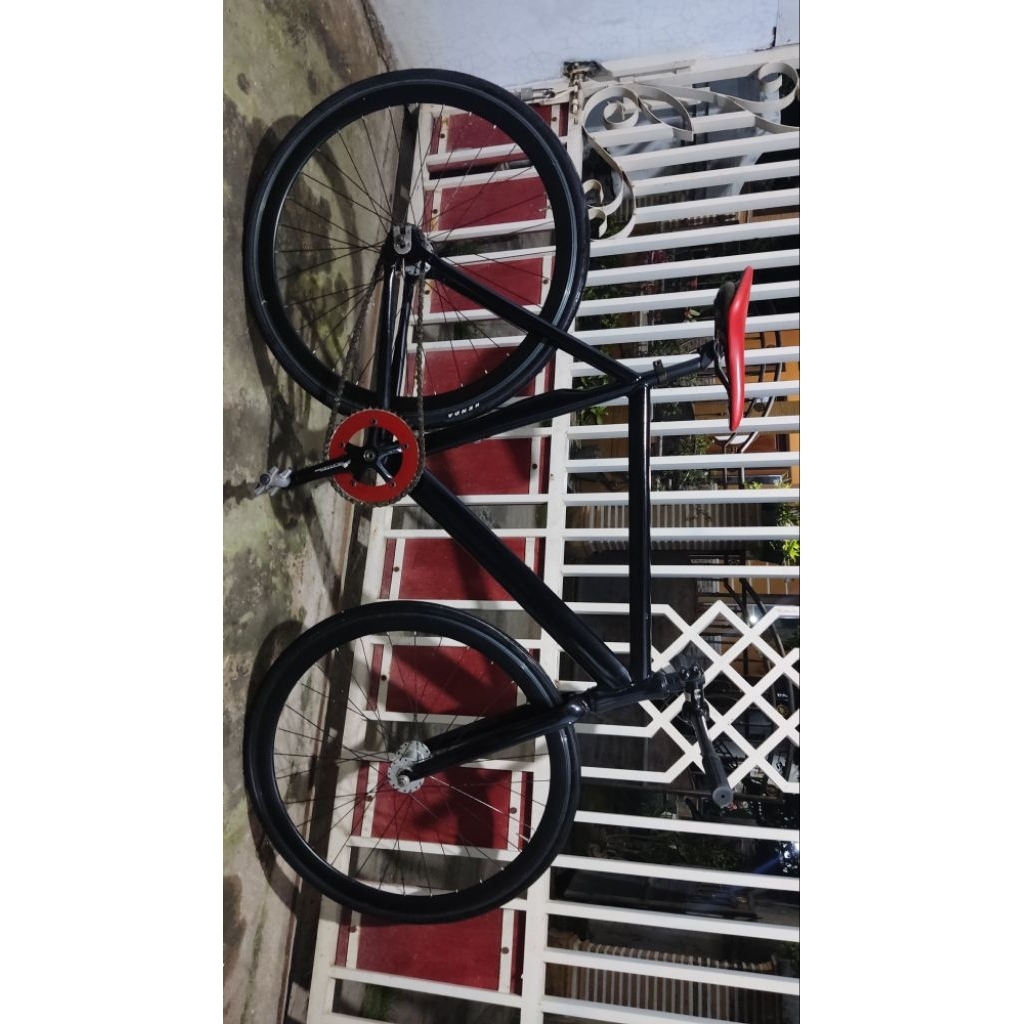 Soloist 79 // Soloist 77 // Soloist 71