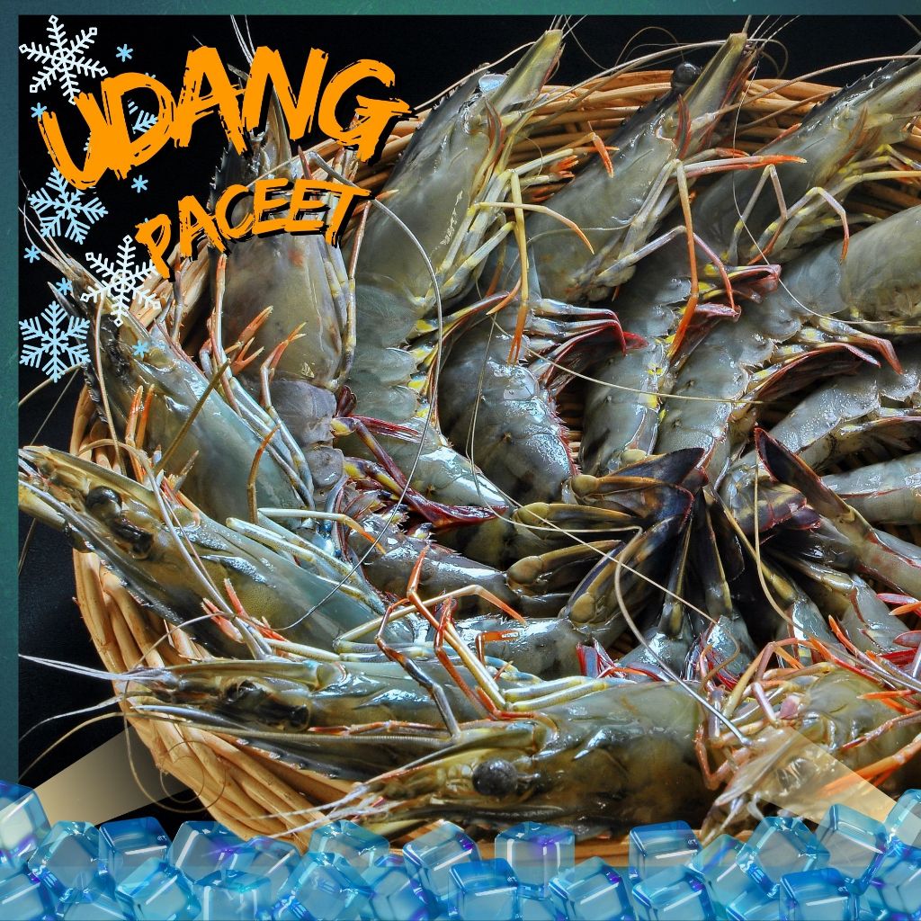Udang Pacet/Windu Fresh | Ukuran Besar dan Kecil (Kemasan 500 Gram/pcs)