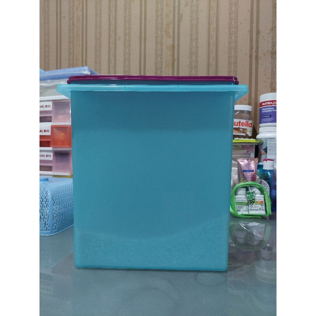 tupperware keep and carry