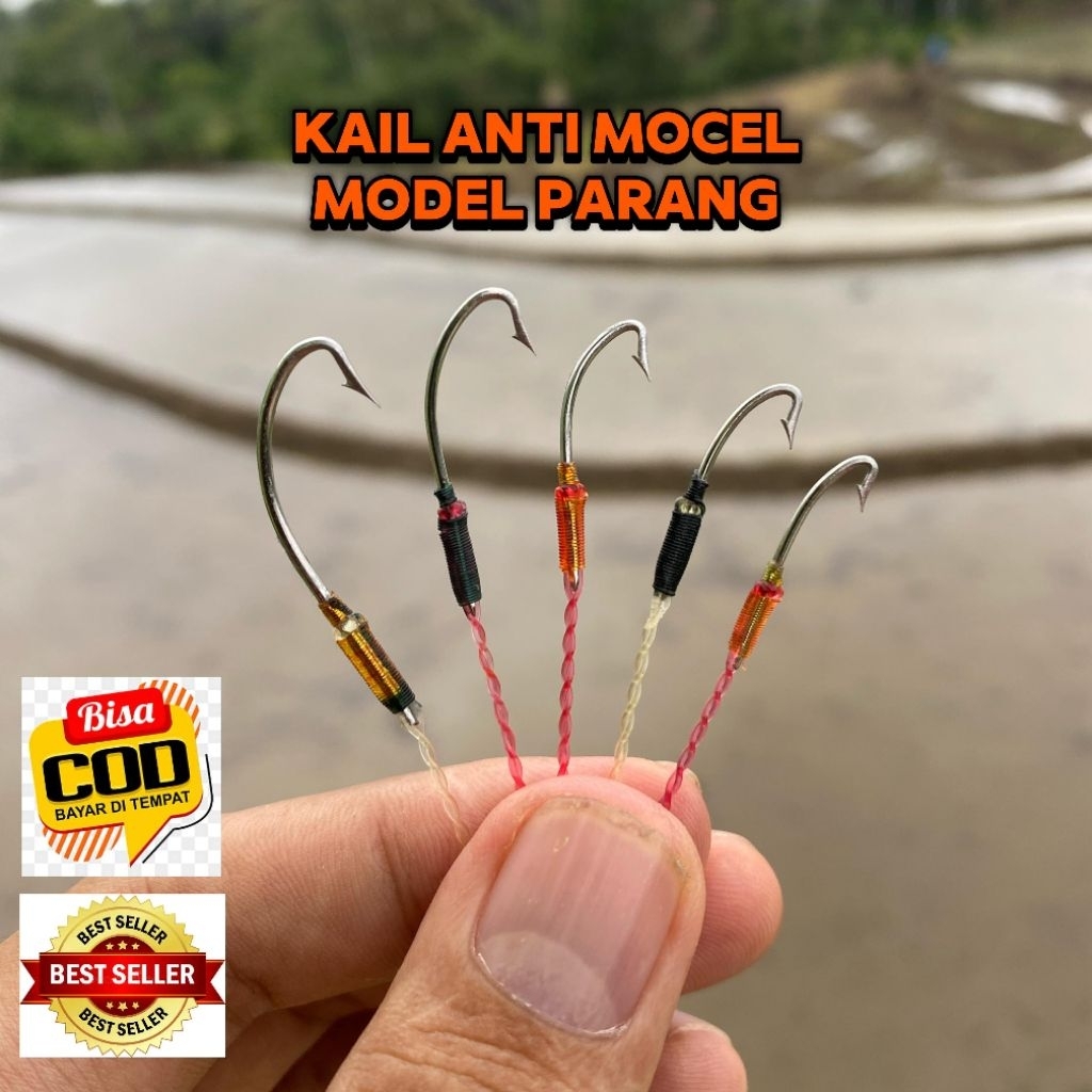 kail belut, kail sidat terlaris anti mocel, urek belut anti mocel