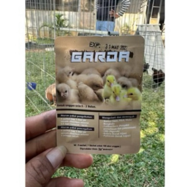 GARDA Obat anak ayam Pencegahan dan pengobatan