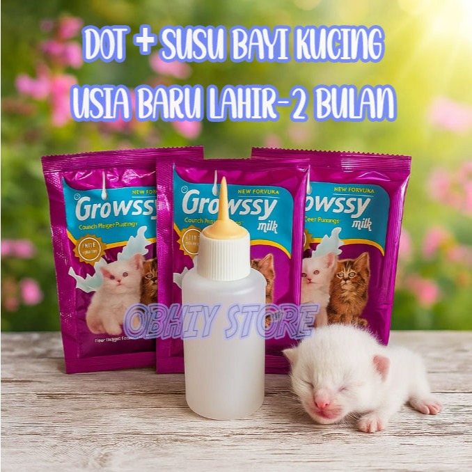 Dot dan Susu Bayi Kucing Baru Lahir Botol Susu Bayi Kucing Dot Bayi Kucing Susu Bayi Kucing Baru Lah