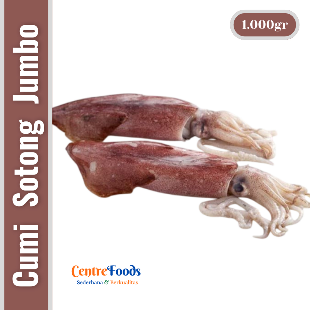 Cumi Sotong Jumbo Segar - Cumi Utuh Sotong Besar Fresh | Isi 2-3 Pcs - 1.000gr [ Harga Per KG ]
