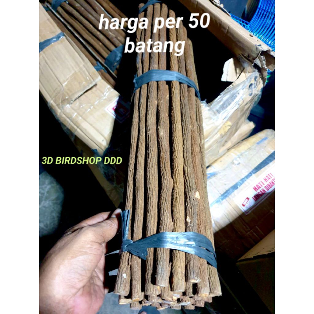 tangkringan asem jawa muray, kacer, cendet, kenari grosir 1 ikat isi 50batang