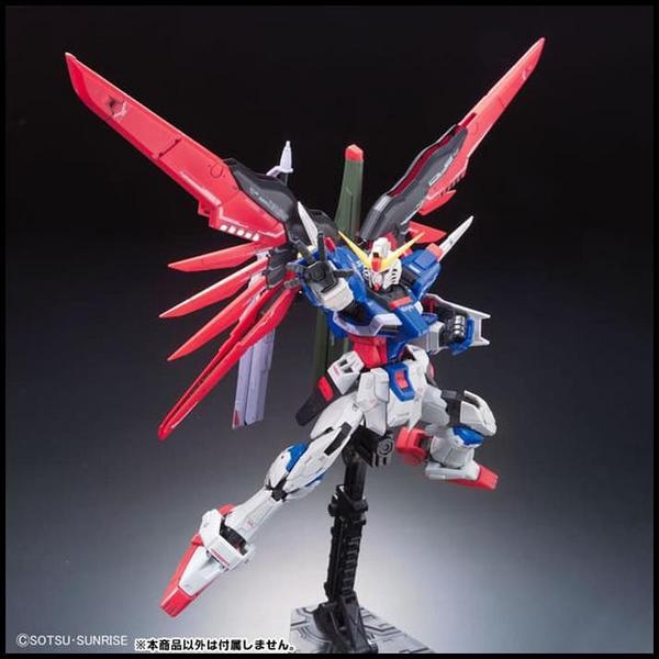 Gundam RG Destiny Gundam RG 11 Gundam Destiny New New