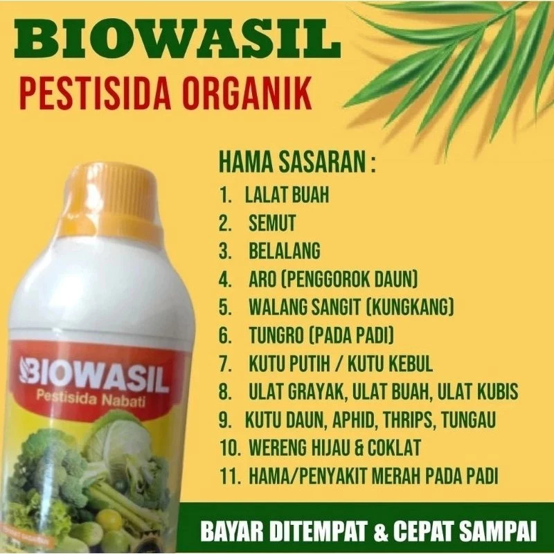 BIOWASIL OBAT HAMA ULAT PADI SUNDEP BELUK - Obat Hama Padi, Atasi Hama Ulat Sundep, Wereng Terbaik