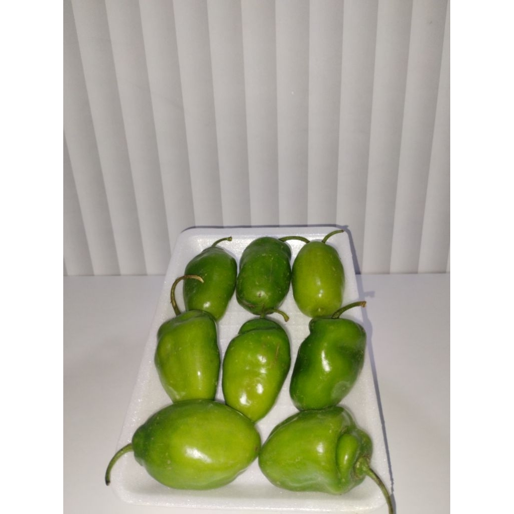 Cabai Gendot Khas Dieng