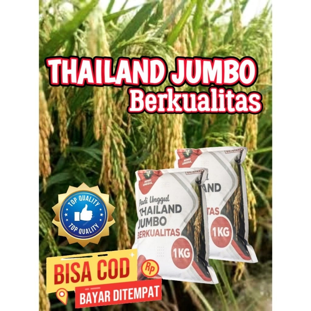 BENIH PADI UNGGUL THAILAND JUMBO 1 KG PREMIUM Benih padi Thailand Jumbo  kemasan 1 kg