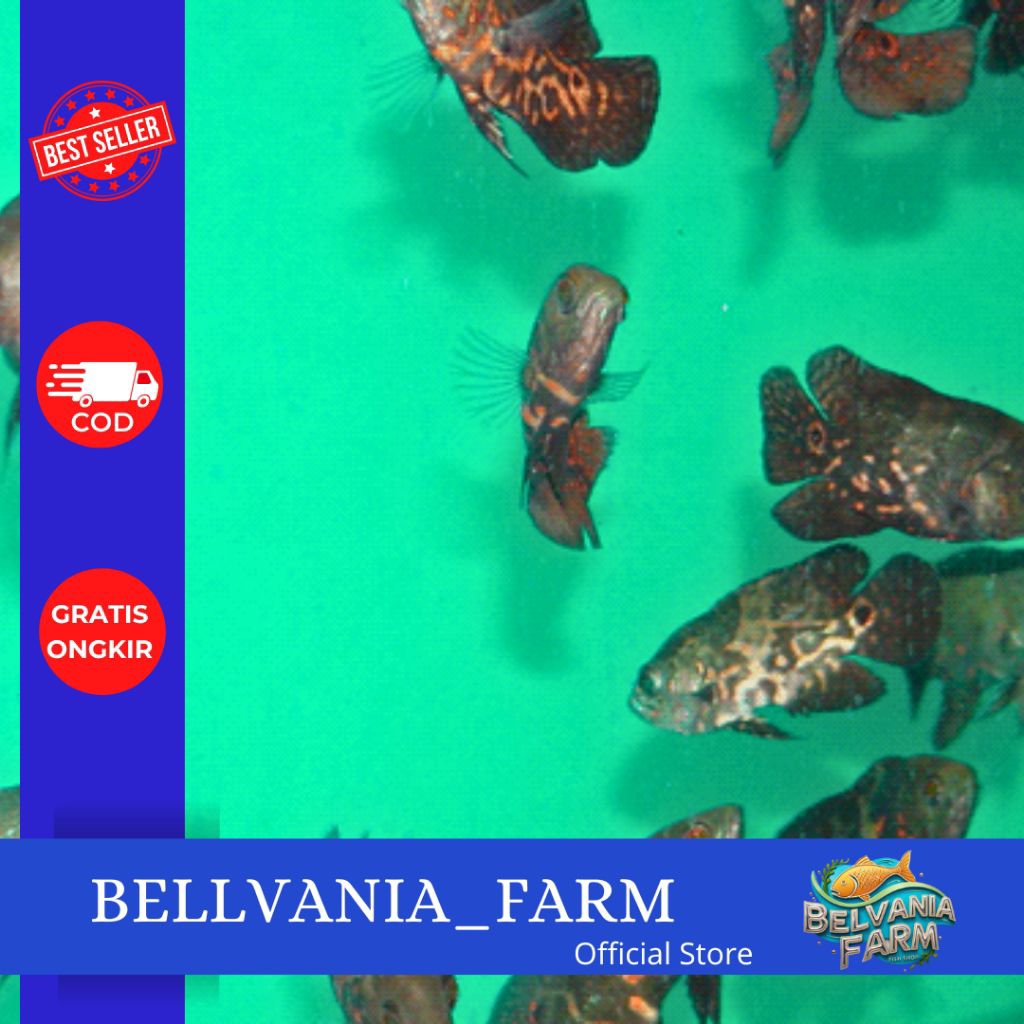 hiasan Oscar batik 3 jarian