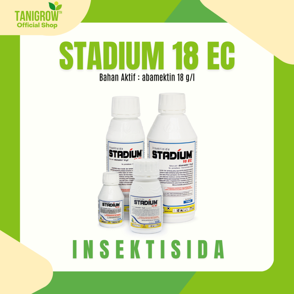 STADIUM 18 EC 500 ML