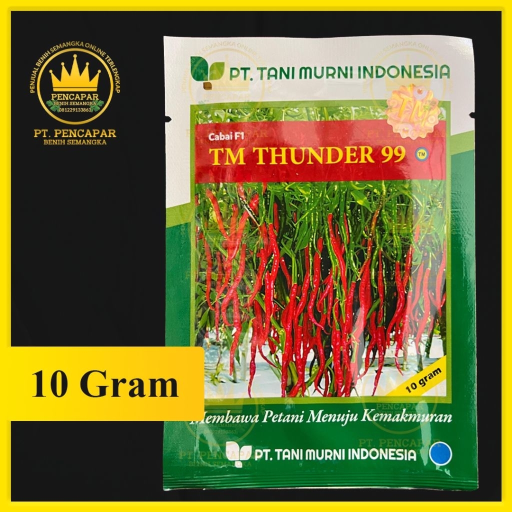 benih cabe TM THUNDER 99