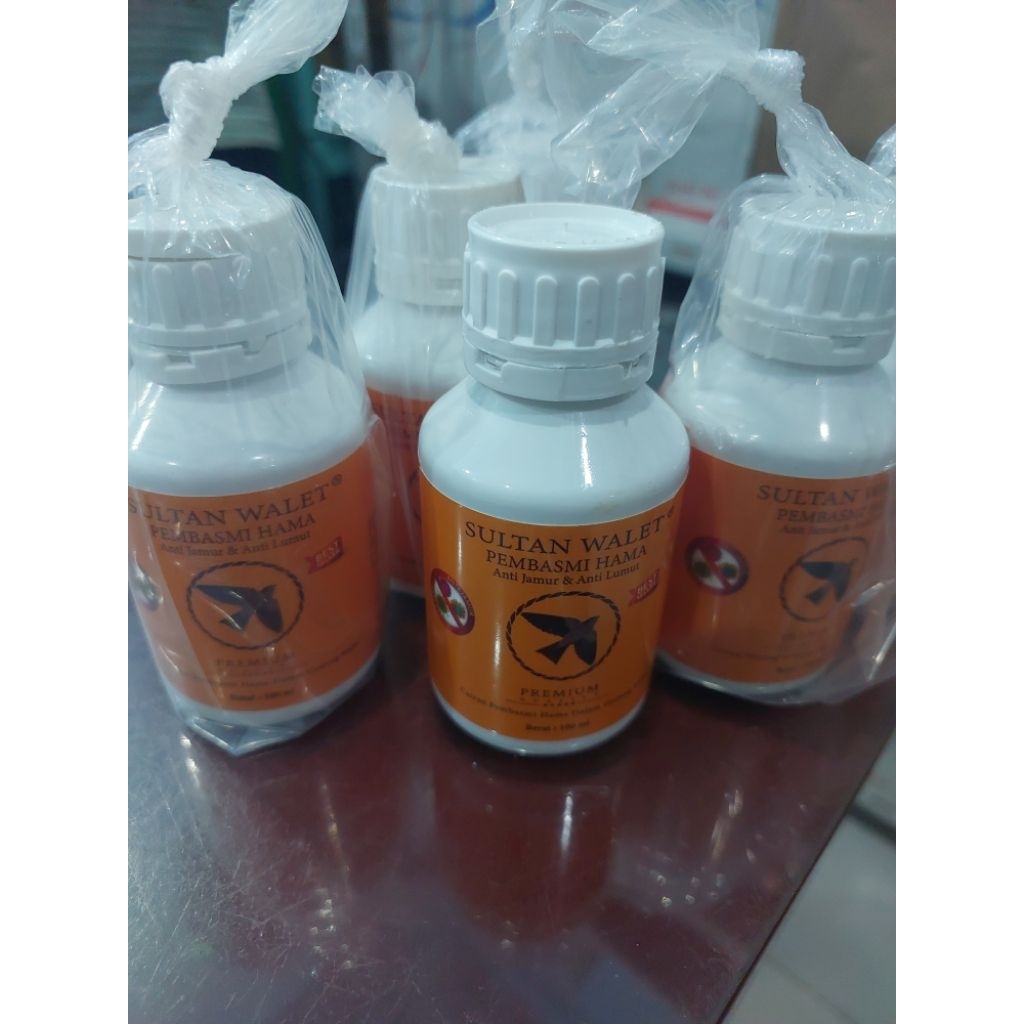 sultan walet pembasmi hama.di gedung walet