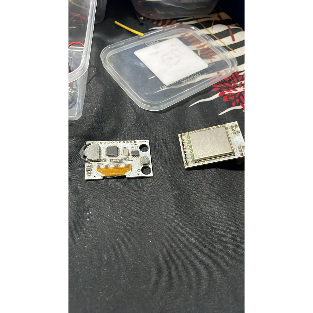 modul diversity mati