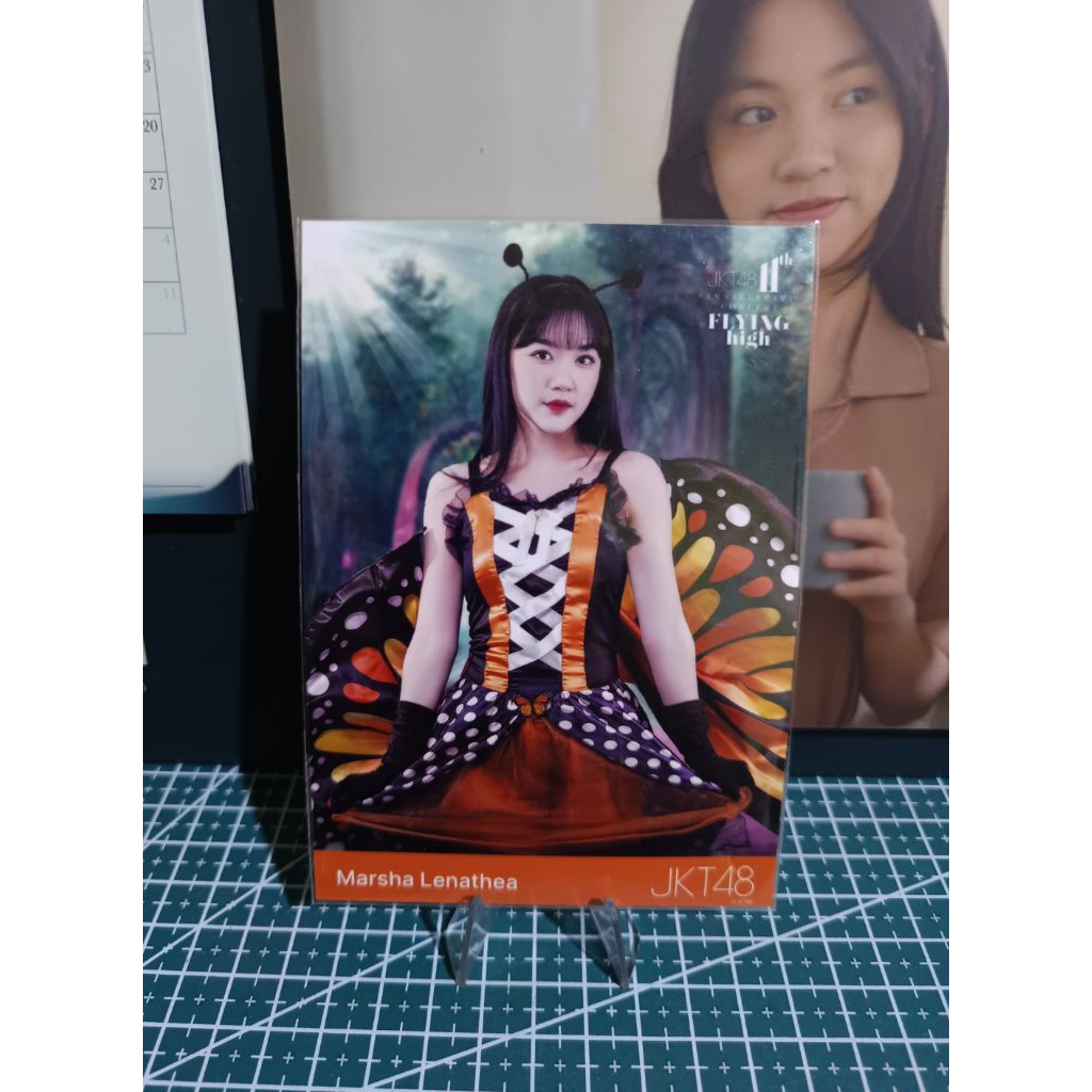 pp marsha flying high 11