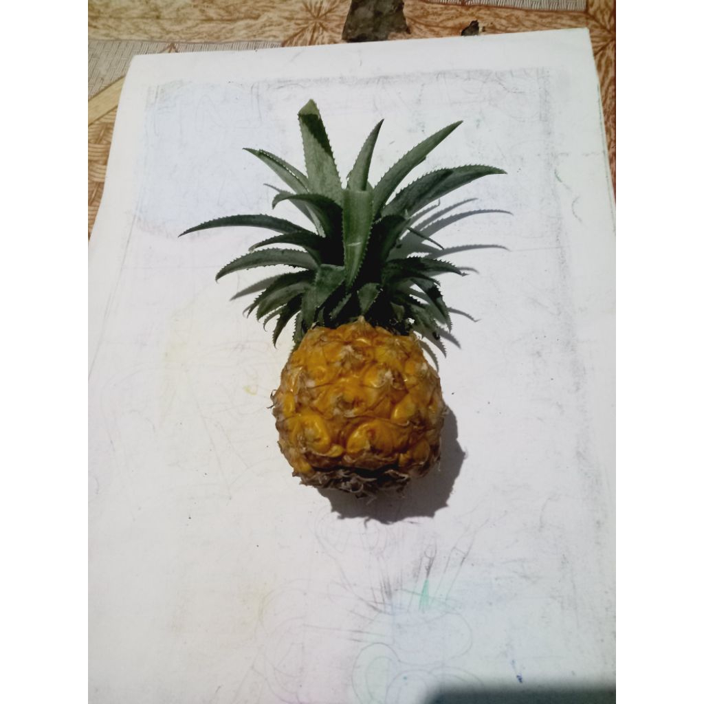 nanas madu belik pemalang 7pcs