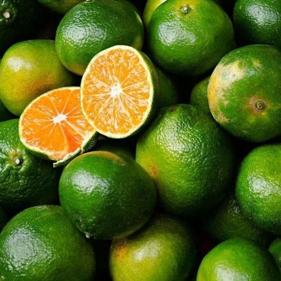 Buah Jeruk Peras Manis Asem per 1 kilo  - Pasar Makassar