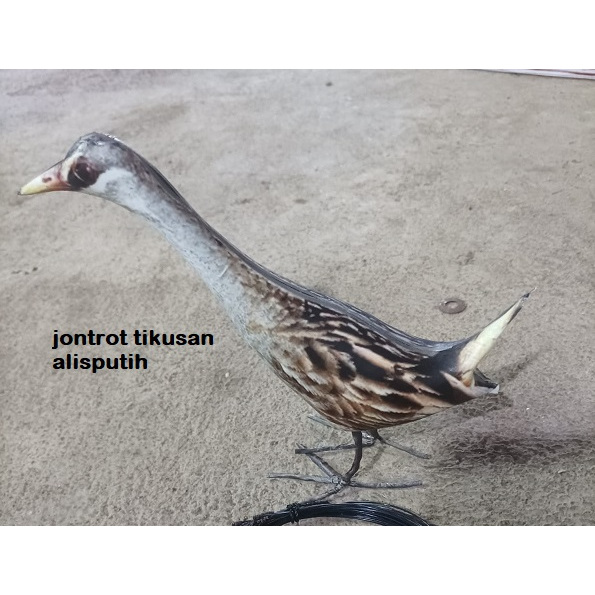 PAKET RACIK KECIL 25 MATA + JONTROT TIKUSAN / JONTROT BURUNG PUYUH GEMAK BALATER TINGGAL PAKAI