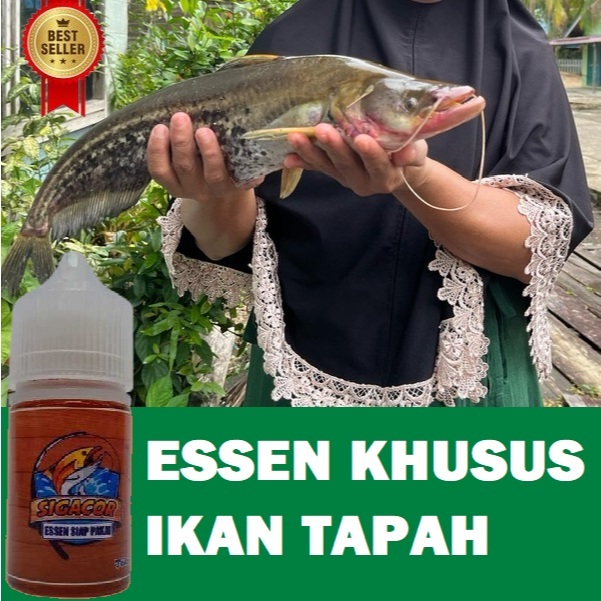 ESSEN PANCING KHUSUS IKAN TAPAH AROMA AMIS GURIH SUPER AMPUH