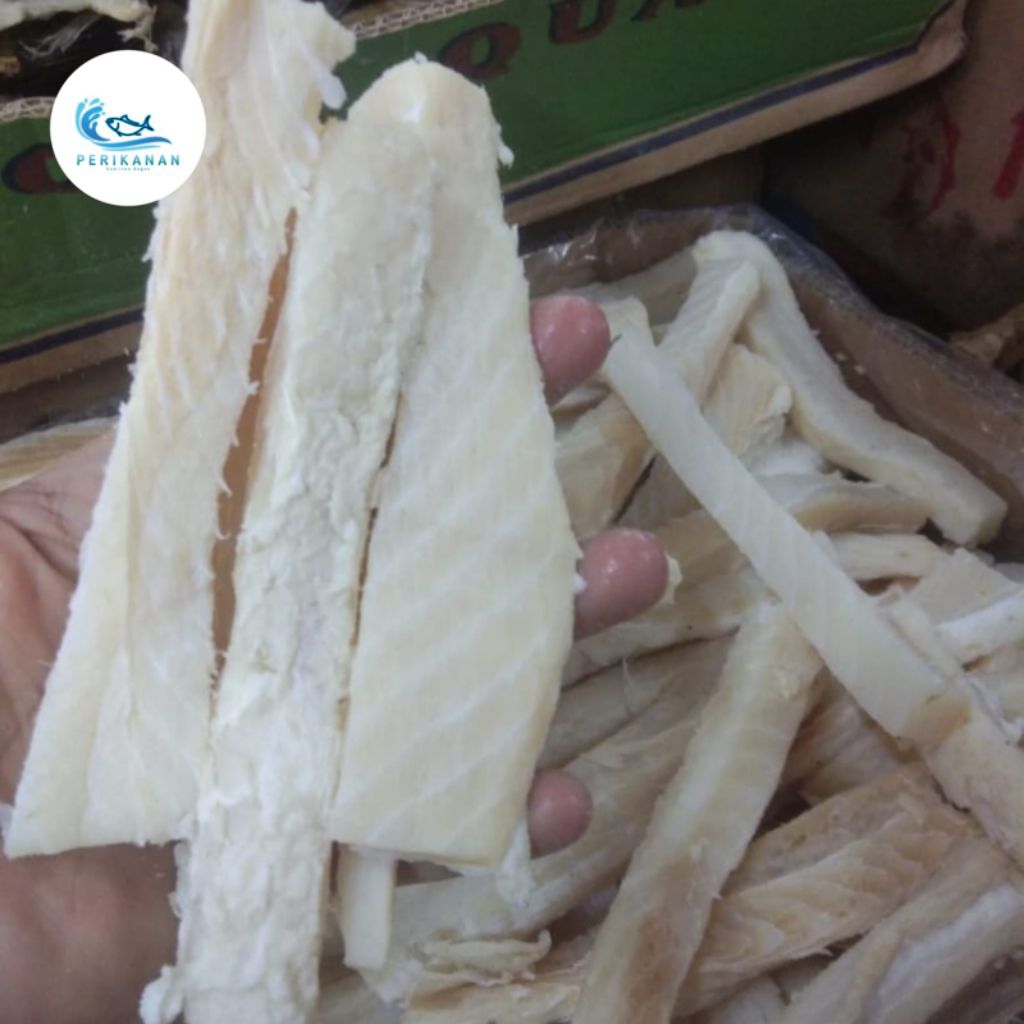 ikan cucut asin balok segar 500gr