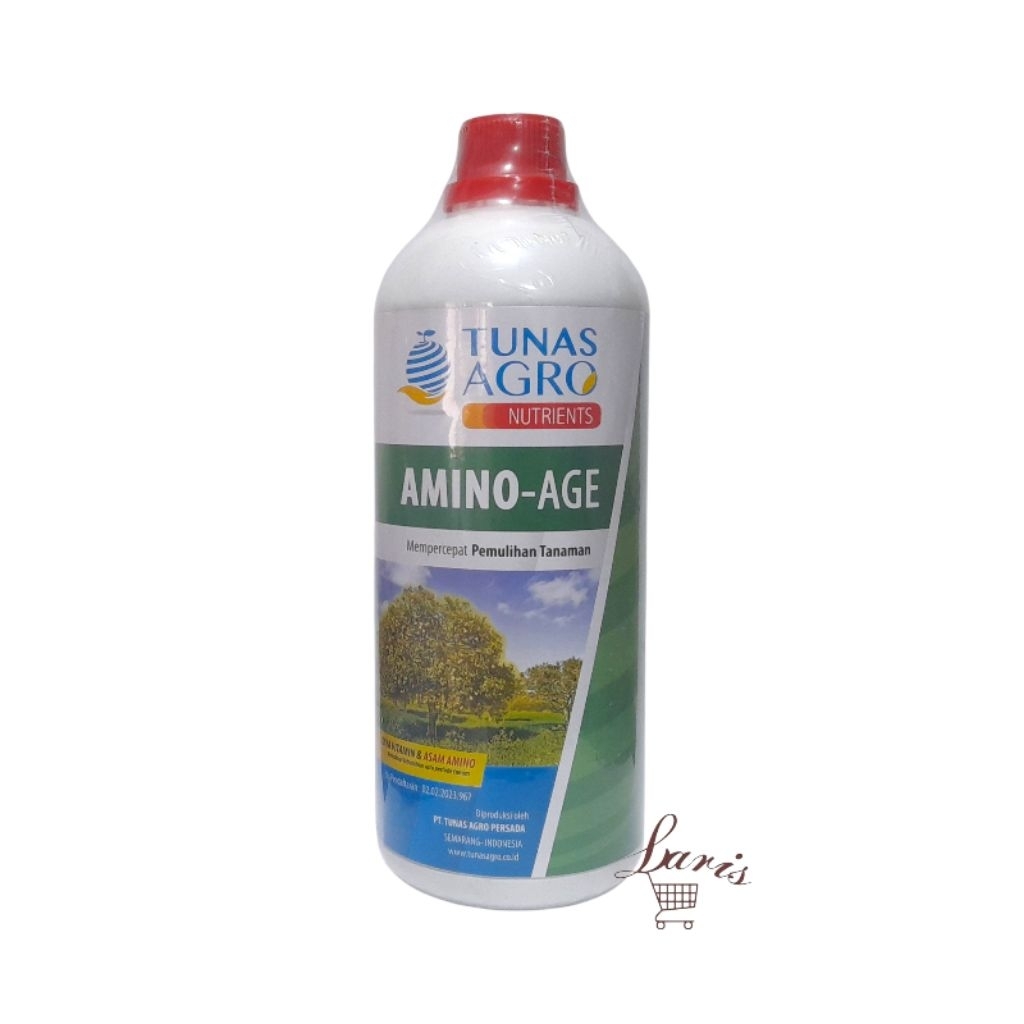 AMINO AGE - 1 LITER