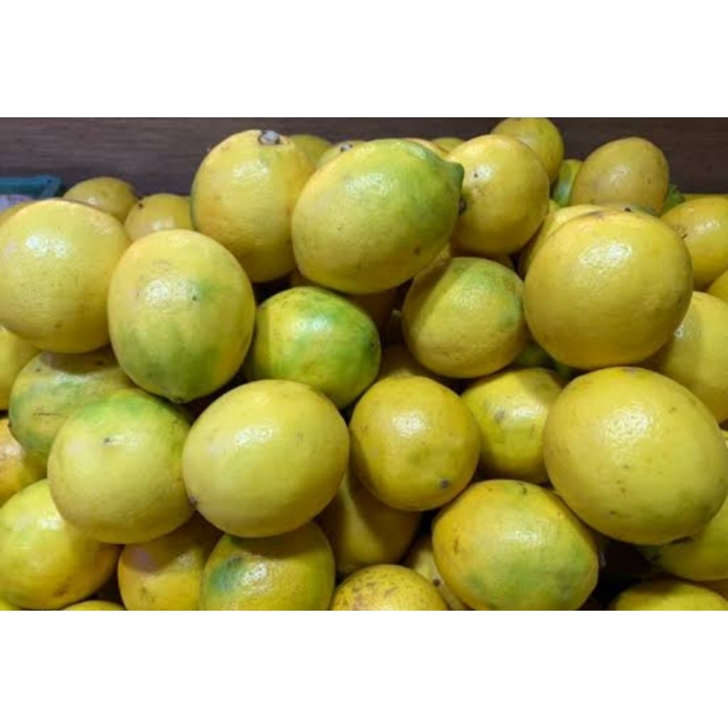Jeruk Lemon 1Kg