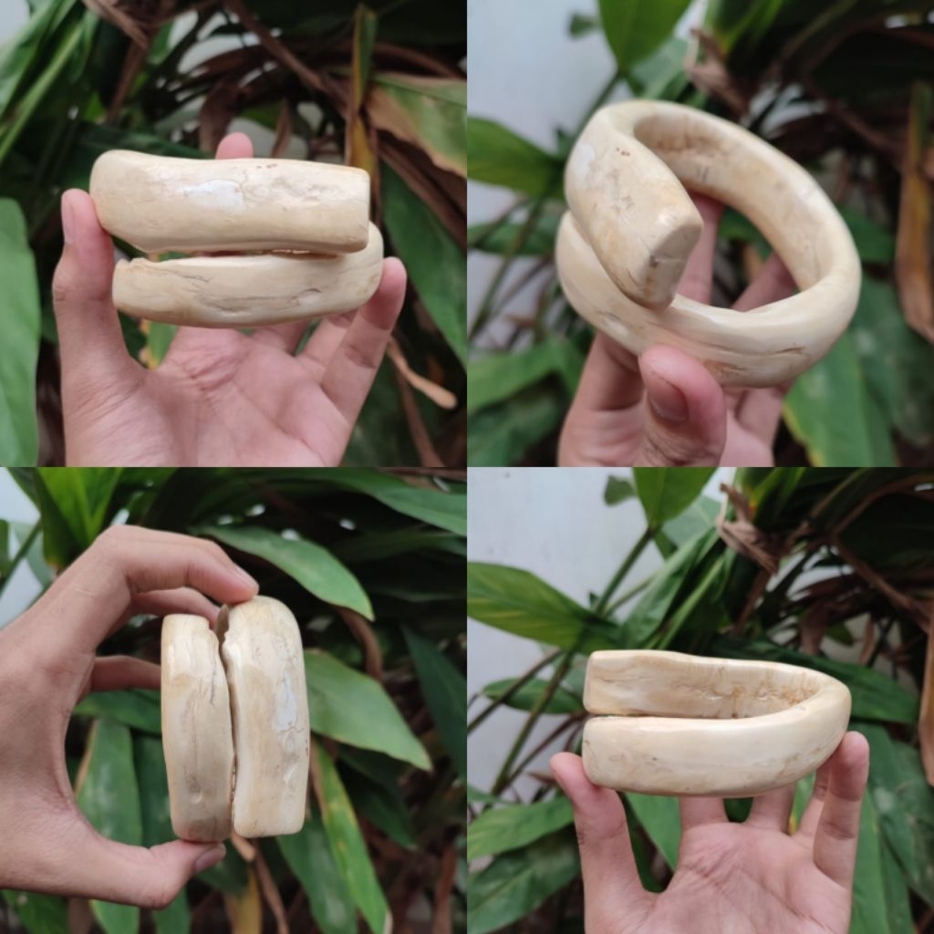 Gelang Akar Bahar Putih Size Jumbo Asli Berkualitas / Akar Bahar Asli