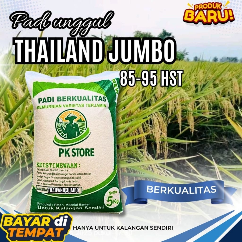 Benih padi THAILAND JUMBO padi unggul kemasan 5kg