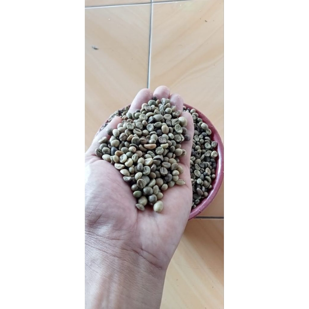 Kopi Robusta / Robusta Coffee Green Beans / Biji kopi Robusta mentah 1 kg.